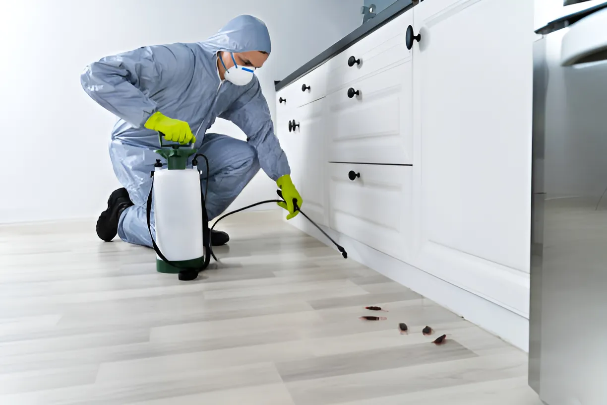 Pest Control