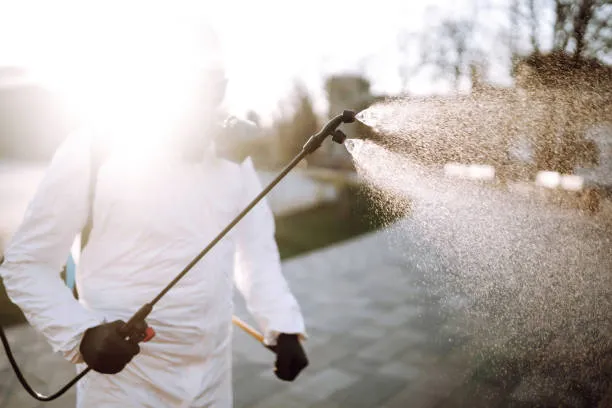 Pest Control Service