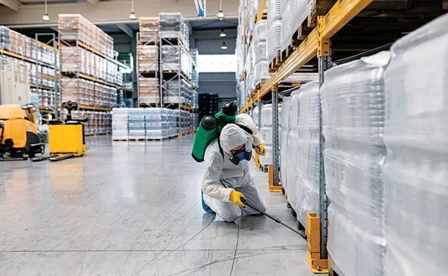 Pest Control Service